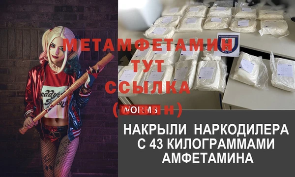 хмурый Алексин
