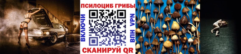 наркошоп  мега ТОР  Галлюциногенные грибы прущие грибы  Анива 